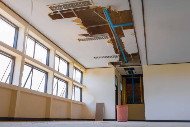 Best Water damage cleanup near me  in Elmore, OH