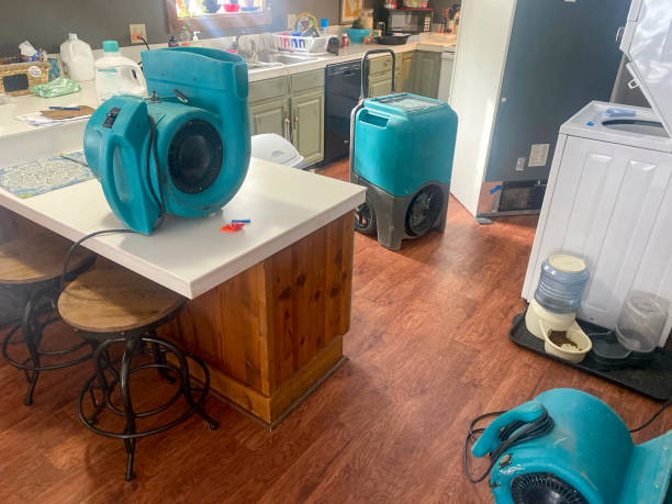 Sewage cleanup and water damage restoration in Elmore, OH