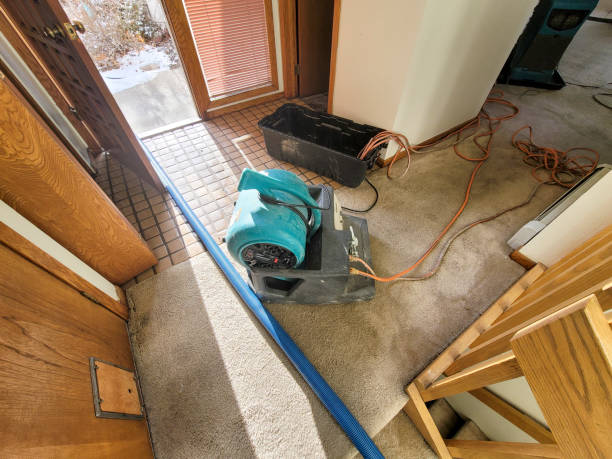 Best Commercial water damage restoration  in Elmore, OH