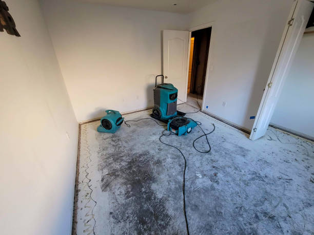 Best 24-hour water damage restoration  in Elmore, OH