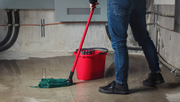 Trusted Elmore, OH Water damage restoration Experts