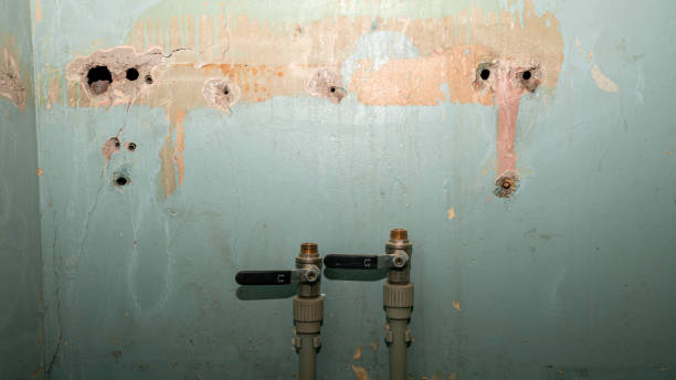 Best Carpet water damage restoration  in Elmore, OH