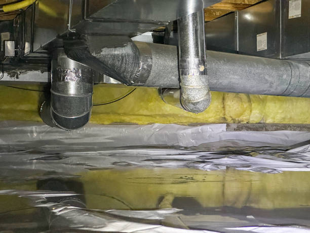 Best Professional water damage repair  in Elmore, OH