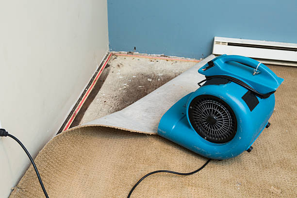 Reliable Elmore, OH Water damage restoration Solutions