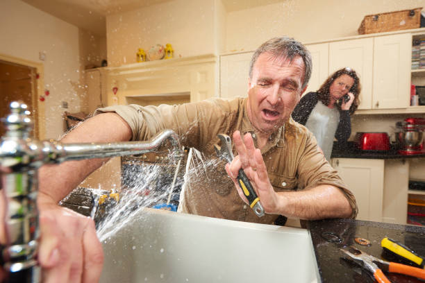 Best Ceiling water damage repair  in Elmore, OH